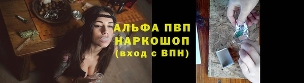 гашик Белоозёрский