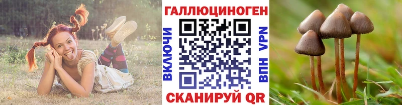 как найти наркотики  Великие Луки  дарк нет Telegram  Галлюциногенные грибы Psilocybe 