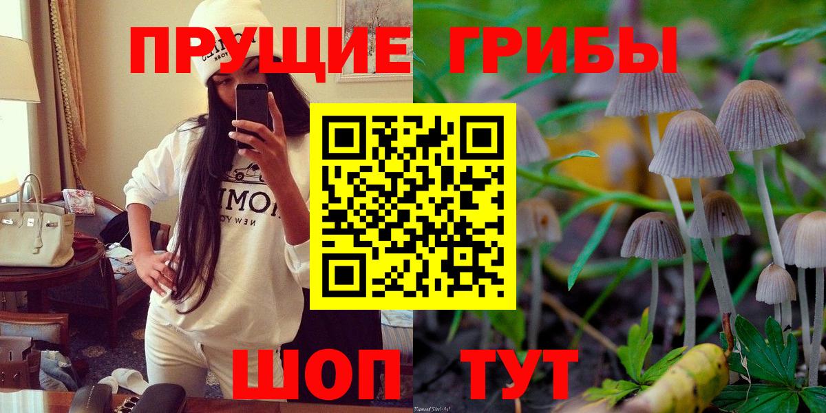 Псилоцибиновые грибы MAGIC MUSHROOMS  Вход с VPN  Великие Луки 
